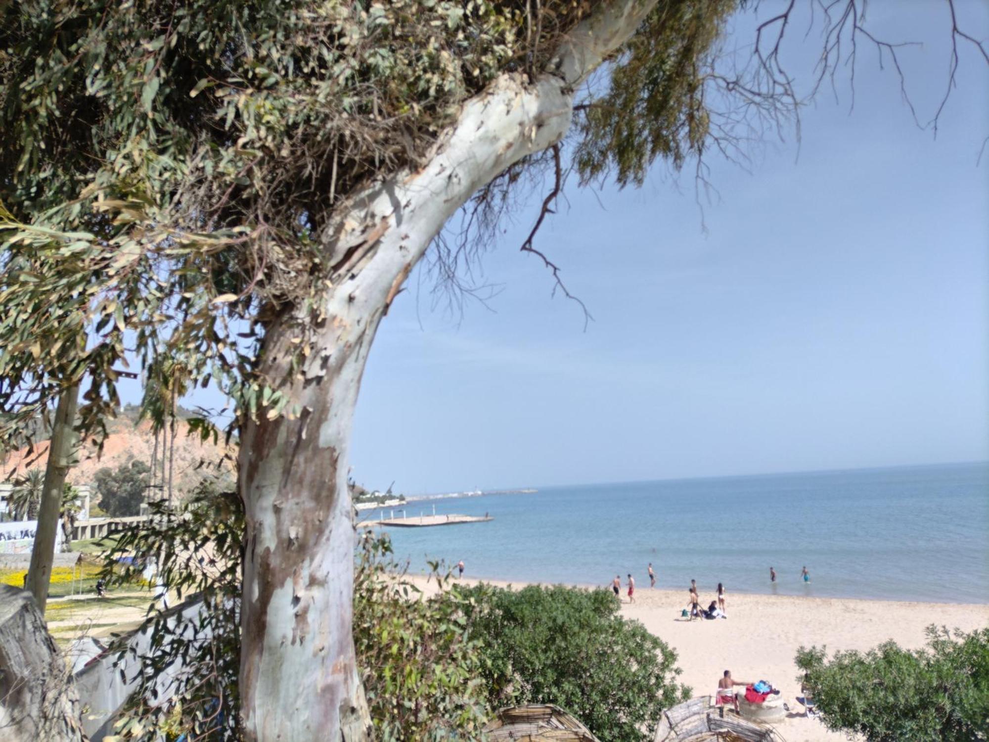 Marsa - Sidi Bousaid Lovely Authentic Apartment La Marsa Luaran gambar